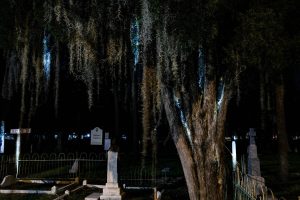 Top 10 Haunted Places in Tampa - Photo
